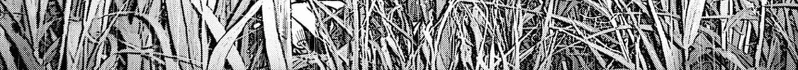 Freak Island Chapter 108 page 45 - 