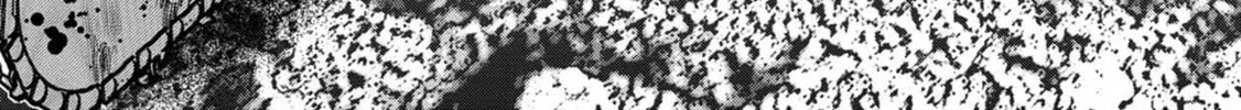 Freak Island Chapter 122 page 4 - 