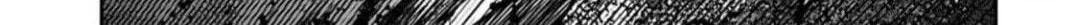Freak Island Chapter 128 page 6 - 