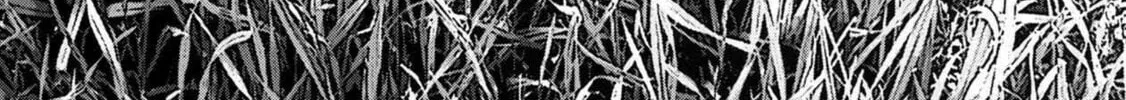 Freak Island Chapter 46 page 44 - 