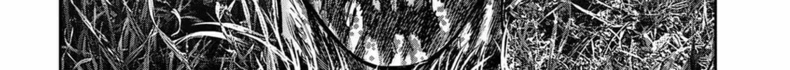 Freak Island Chapter 46 page 56 - 