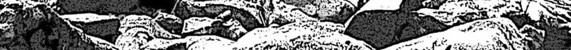 Freak Island Chapter 47 page 13 - 