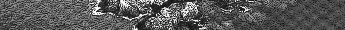 Freak Island Chapter 55 page 14 - 