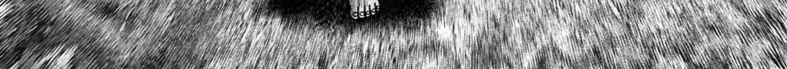 Freak Island Chapter 91 page 20 - 