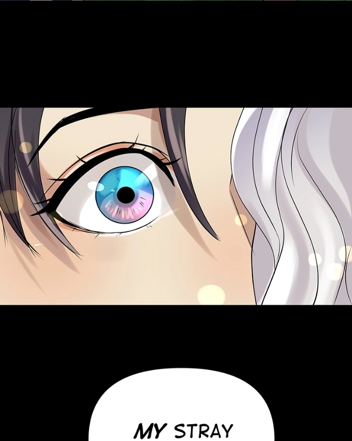 Freaking Romance Chapter 50 page 57 - 