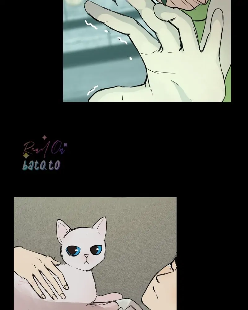 Freaking Romance Chapter 67 page 19 - 
