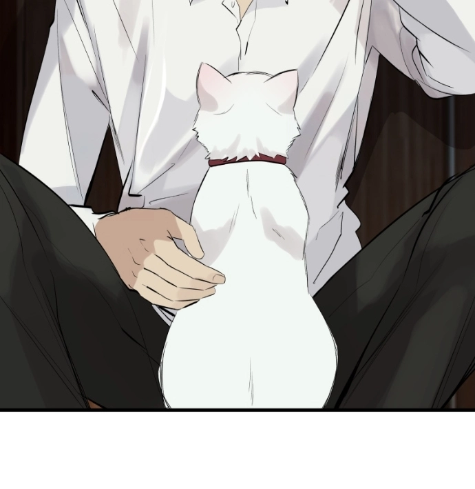 Freaking Romance Chapter 70 page 79 - 