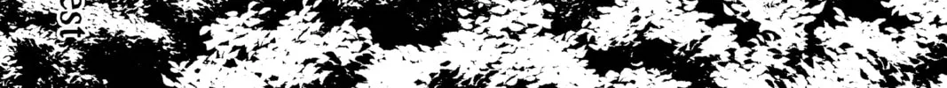 Frieren: Beyond Journey’s End Chapter 71 page 2 - 