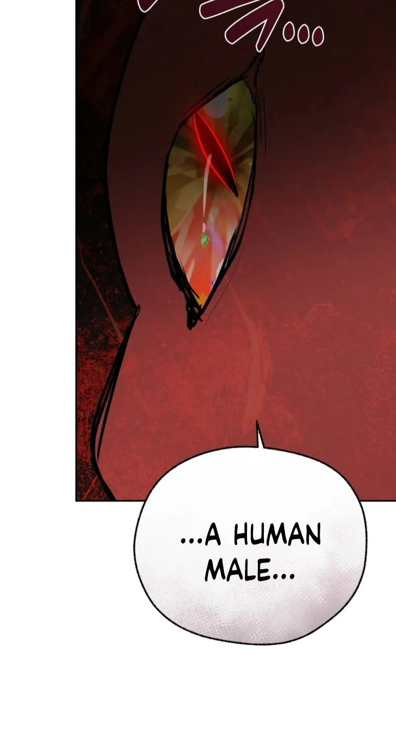 From Day Until Night Chapter 28 page 11 - 