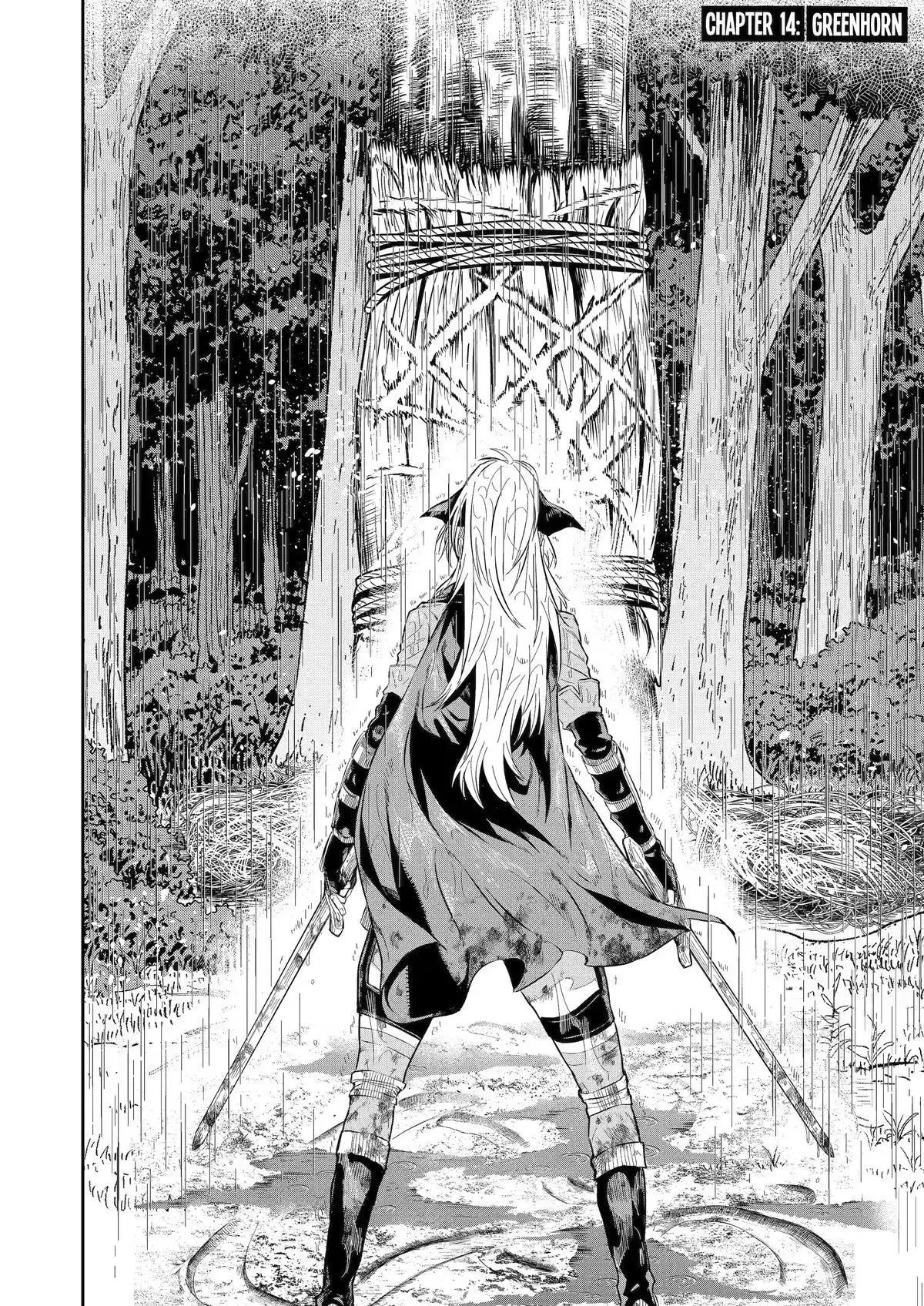 From Old Country Bumpkin to Master Swordsman: The Twin Dragonblade's Journey to the Top Chapter 14 page 2 - 