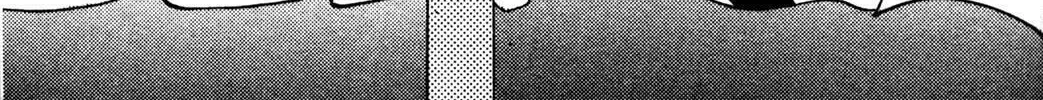 Full Metal Panic! Overload! Chapter 19 page 22 - 