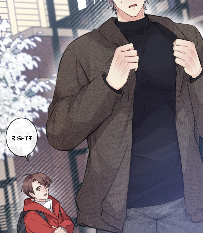 Fullmetal Alchemist Chapter 136 page 5 - 