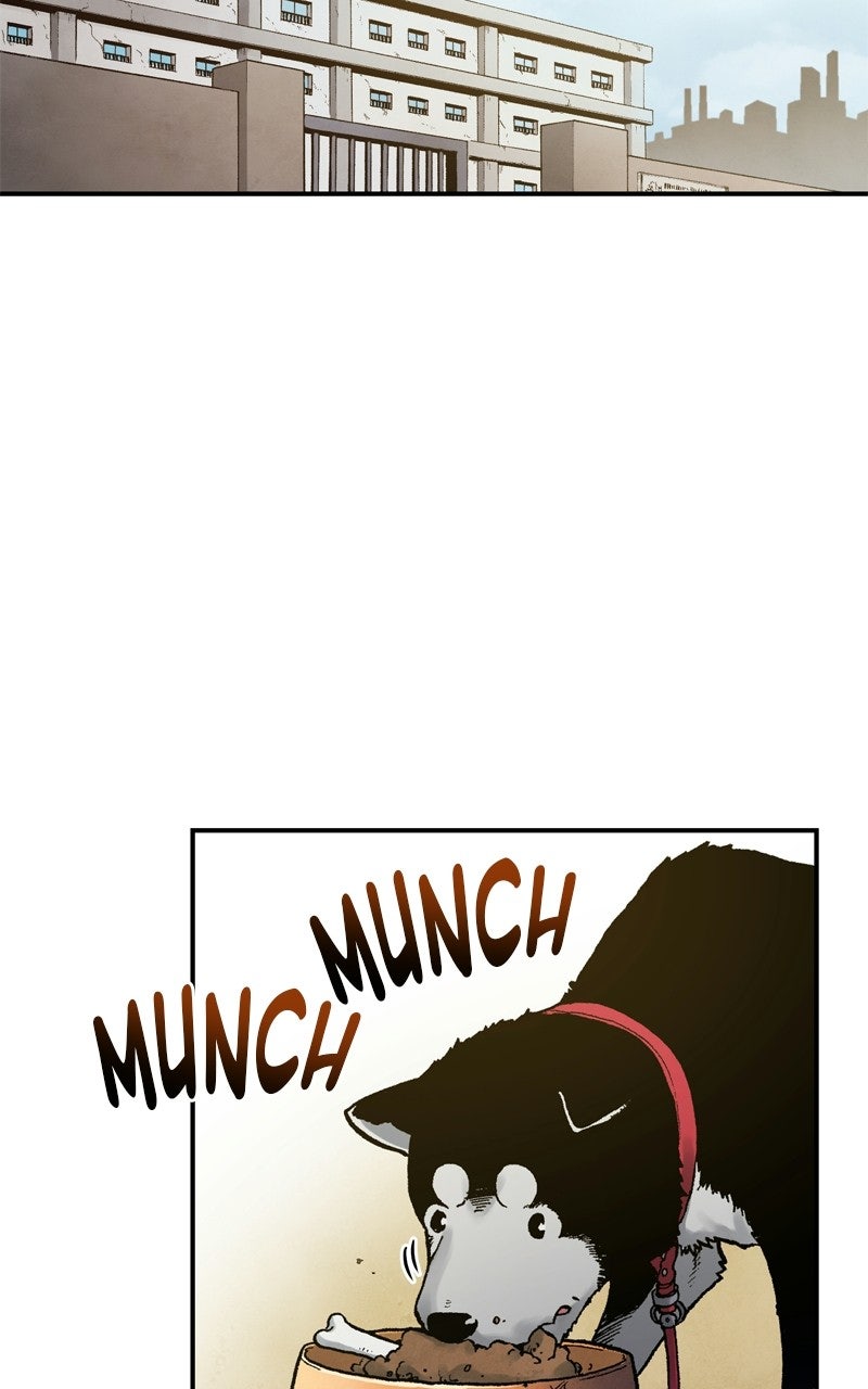 Fullmetal Alchemist Episode 143 page 31 - 
