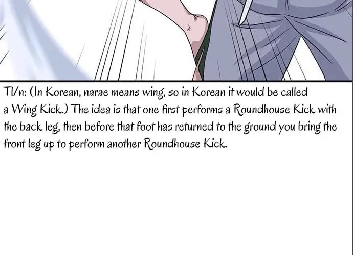 Game Rules Chapter 28 page 113 - 