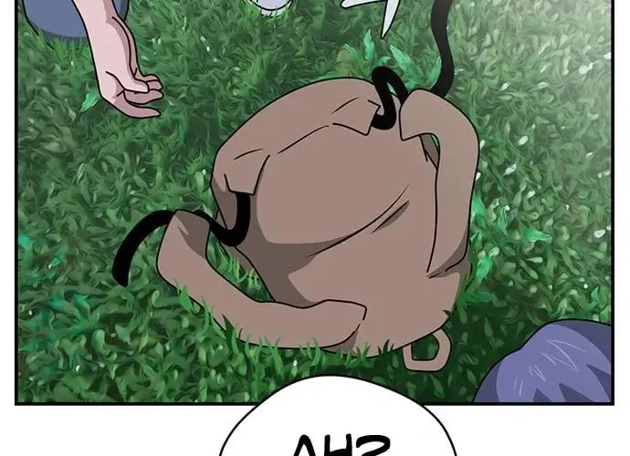 Game Rules Chapter 41 page 96 - 