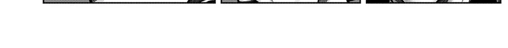 GANTZ:E Chapter 11 page 2 - 