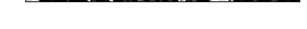 GANTZ:E Chapter 12 page 2 - 