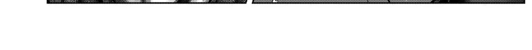 GANTZ:E Chapter 13 page 2 - 