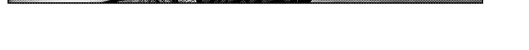 GANTZ:E Chapter 13 page 14 - 