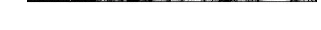 GANTZ:E Chapter 13 page 16 - 