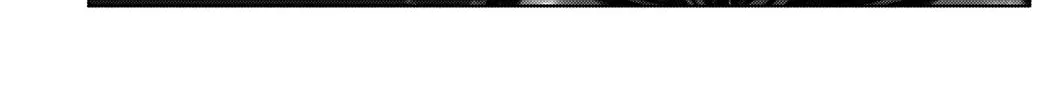 GANTZ:E Chapter 13 page 22 - 