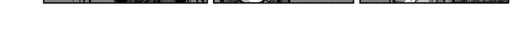 GANTZ:E Chapter 13 page 26 - 