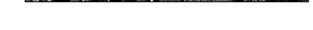 GANTZ:E Chapter 13 page 32 - 