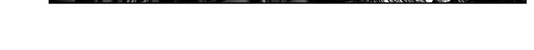 GANTZ:E Chapter 14 page 14 - 
