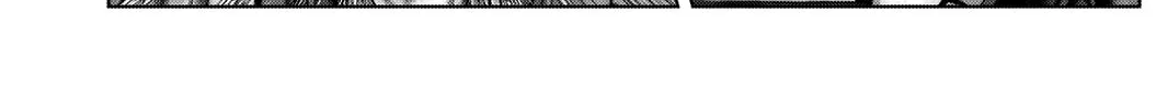 GANTZ:E Chapter 15 page 2 - 
