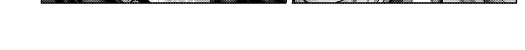 GANTZ:E Chapter 16 page 2 - 