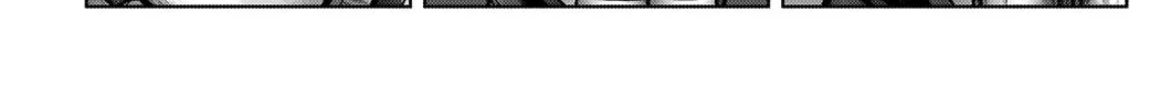 GANTZ:E Chapter 17 page 2 - 