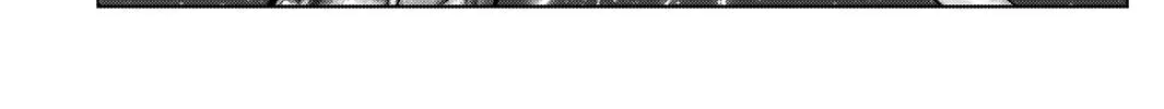 GANTZ:E Chapter 17 page 8 - 