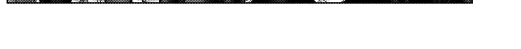 GANTZ:E Chapter 19 page 22 - 