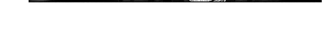 GANTZ:E Chapter 19 page 28 - 