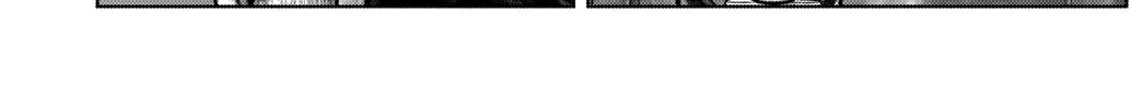 GANTZ:E Chapter 19 page 32 - 