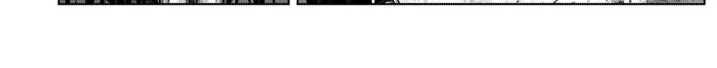 GANTZ:E Chapter 20 page 16 - 
