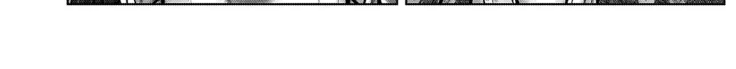 GANTZ:E Chapter 21 page 16 - 