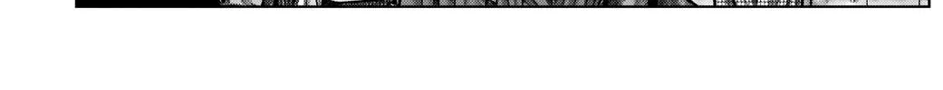 GANTZ:E Chapter 3 page 34 - 