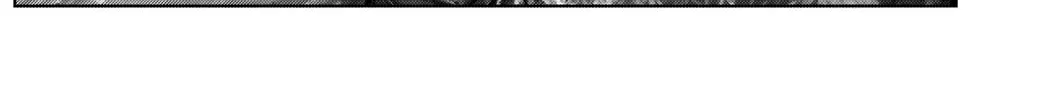 GANTZ:E Chapter 4 page 22 - 