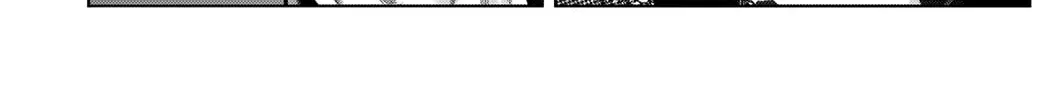 GANTZ:E Chapter 8 page 2 - 