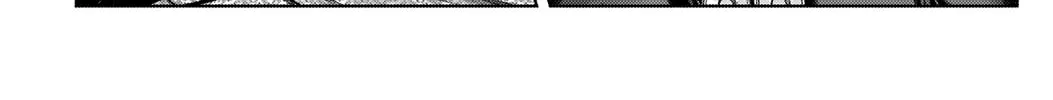 GANTZ:E Chapter 9 page 32 - 