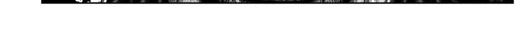 GANTZ:E Chapter 9 page 38 - 