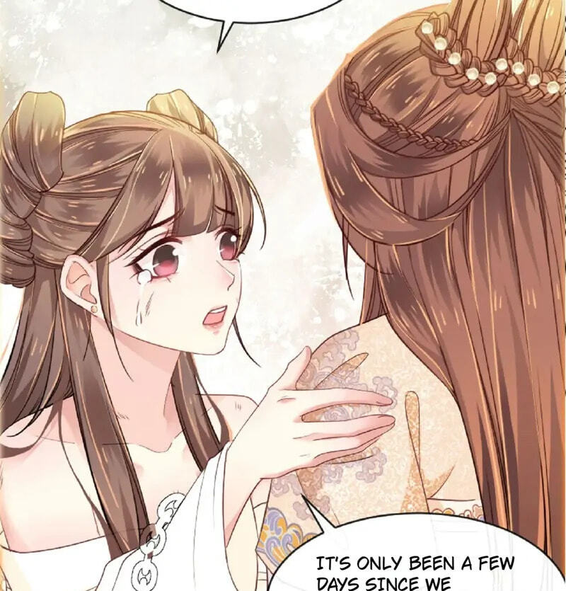 General, Leave Me Alone! Chapter 2 page 7 - 