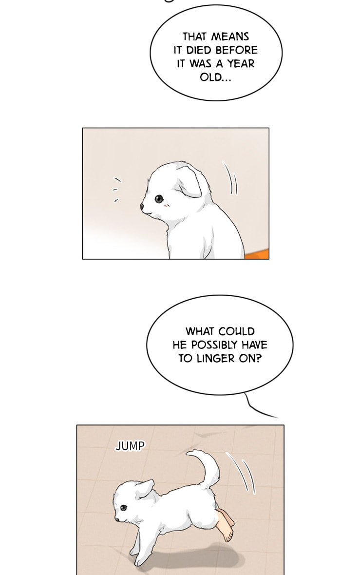 Ghost Wife Chapter 101 page 9 - 