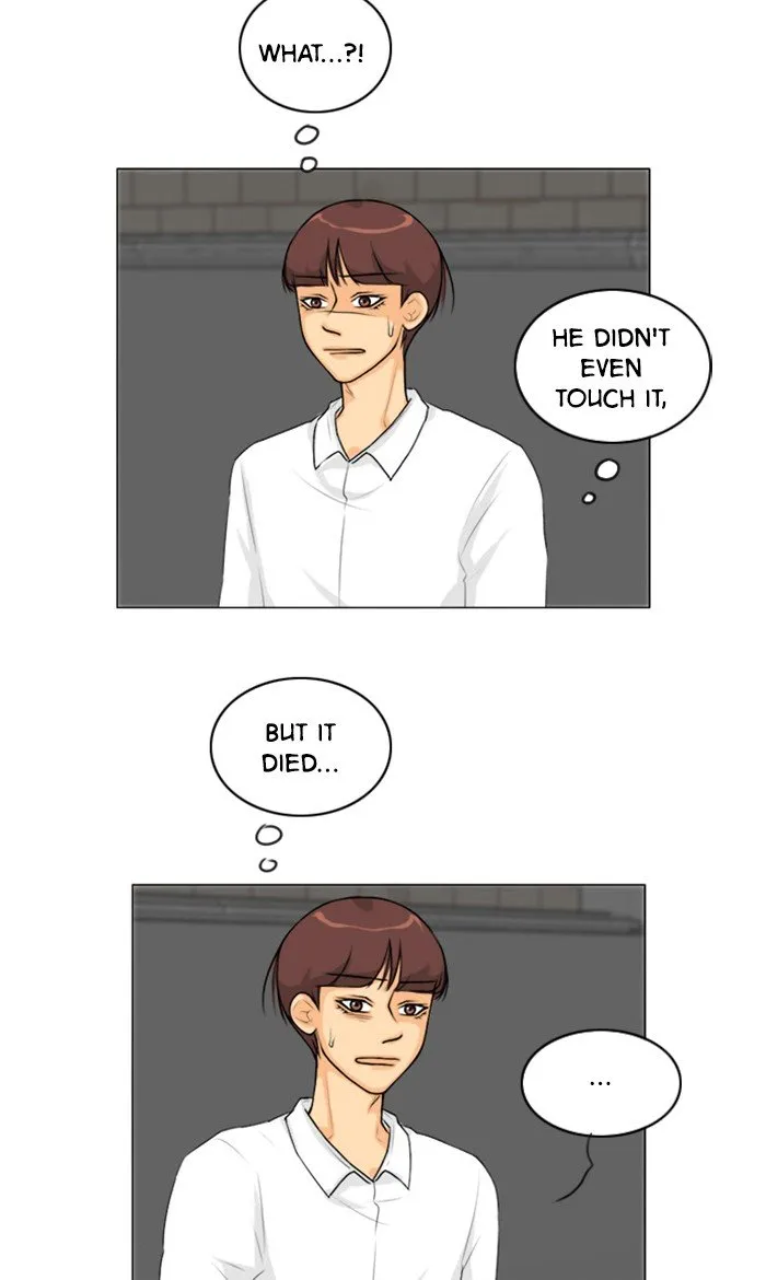 Ghost Wife Chapter 131 page 23 - 