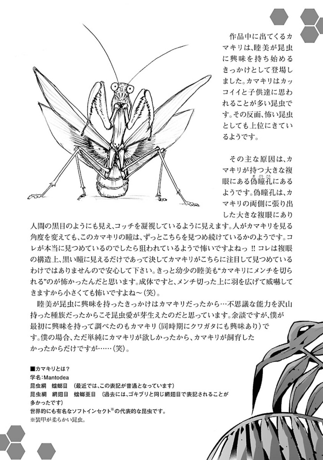 Giant Insect Archipelago Chapter 12 page 38 - 