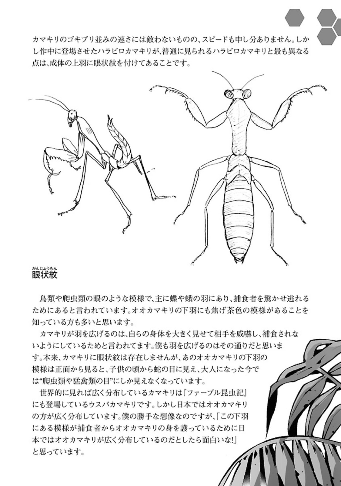 Giant Insect Archipelago Chapter 12 page 42 - 