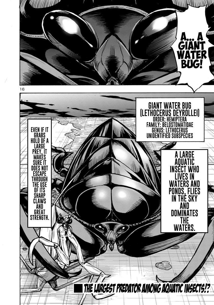 Giant Insect Archipelago Chapter 17.2 page 16 - 