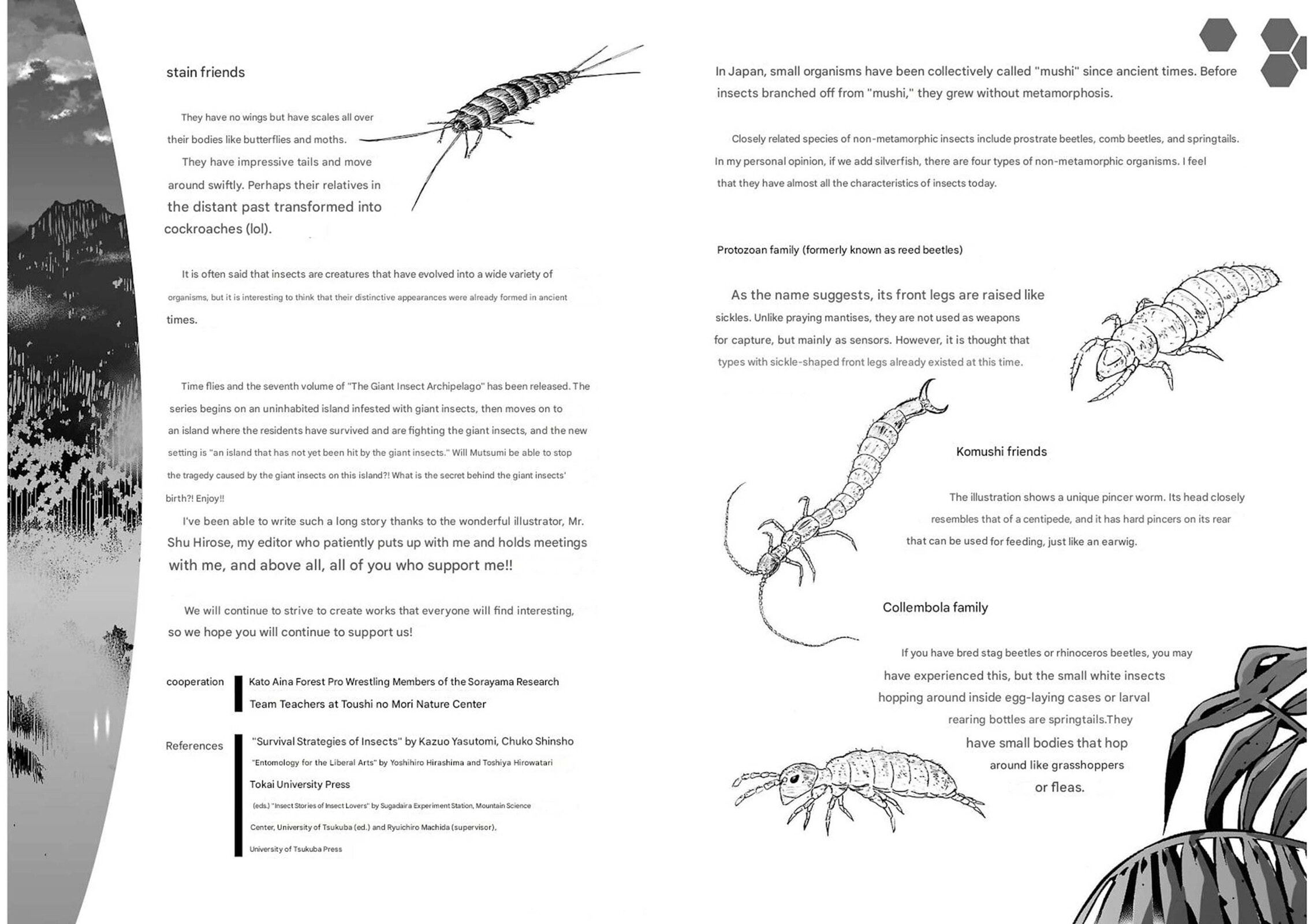 Giant Insect Archipelago Chapter 28 page 41 - 