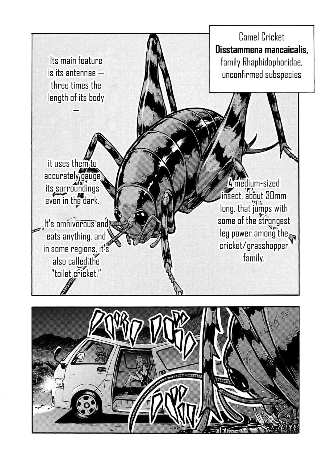 Giant Insect Archipelago Chapter 29 page 38 - 